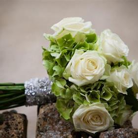 fwthumbAvalanche & Hydrangea.jpg